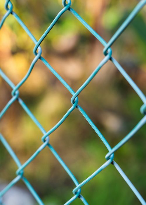 Wire fence with green grass on background. Garden green color grid fence